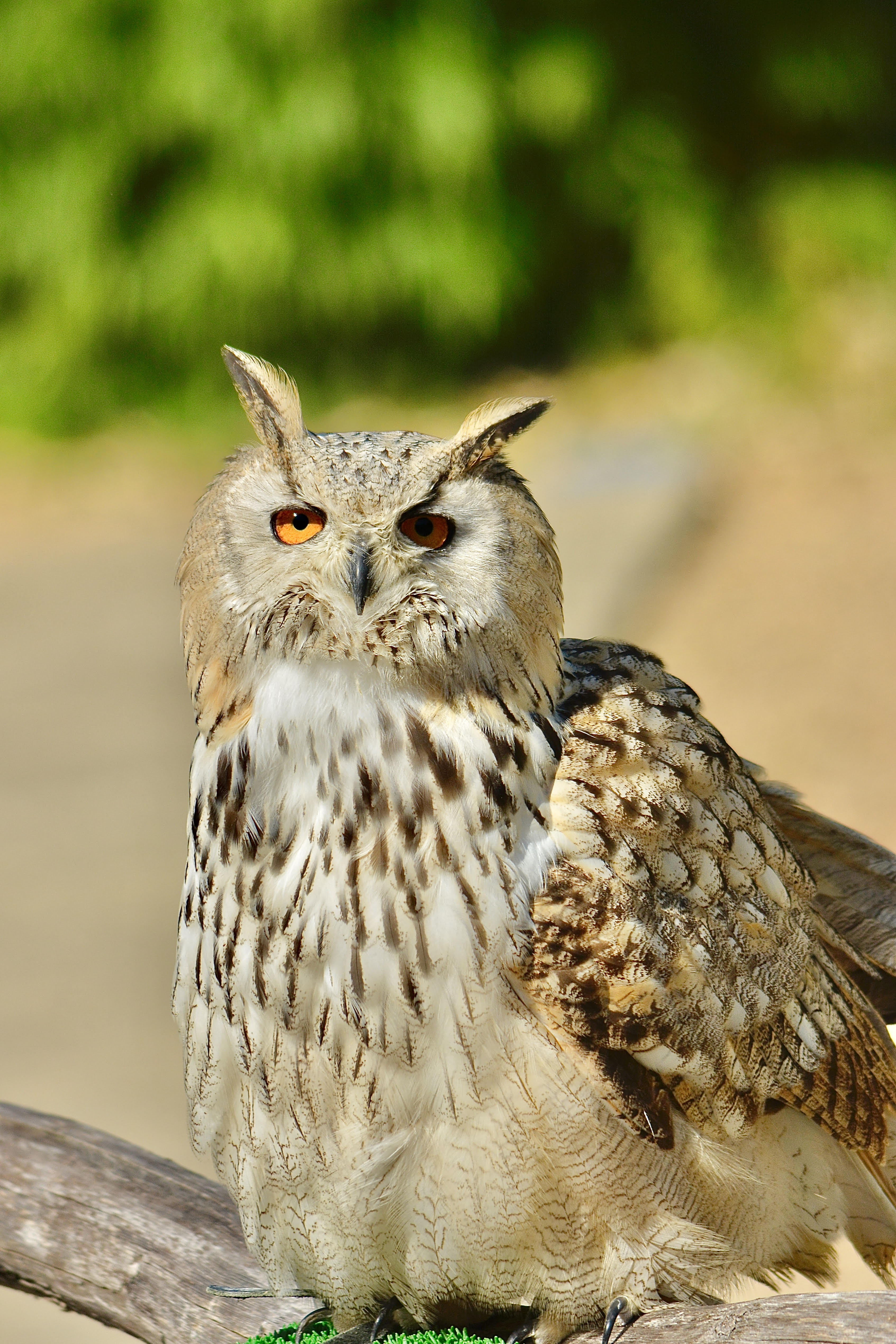 Exemple de grande ouverture